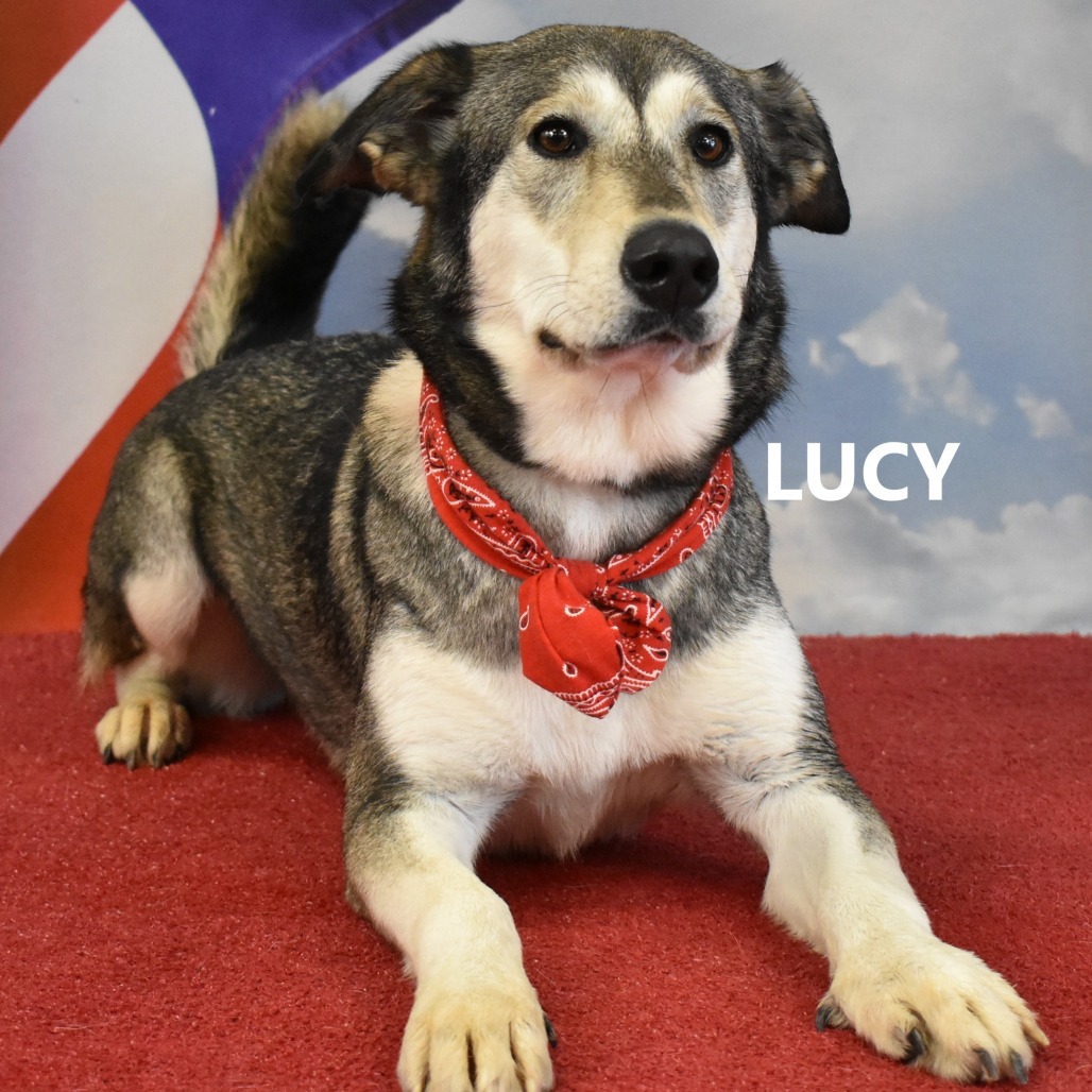 Lucy