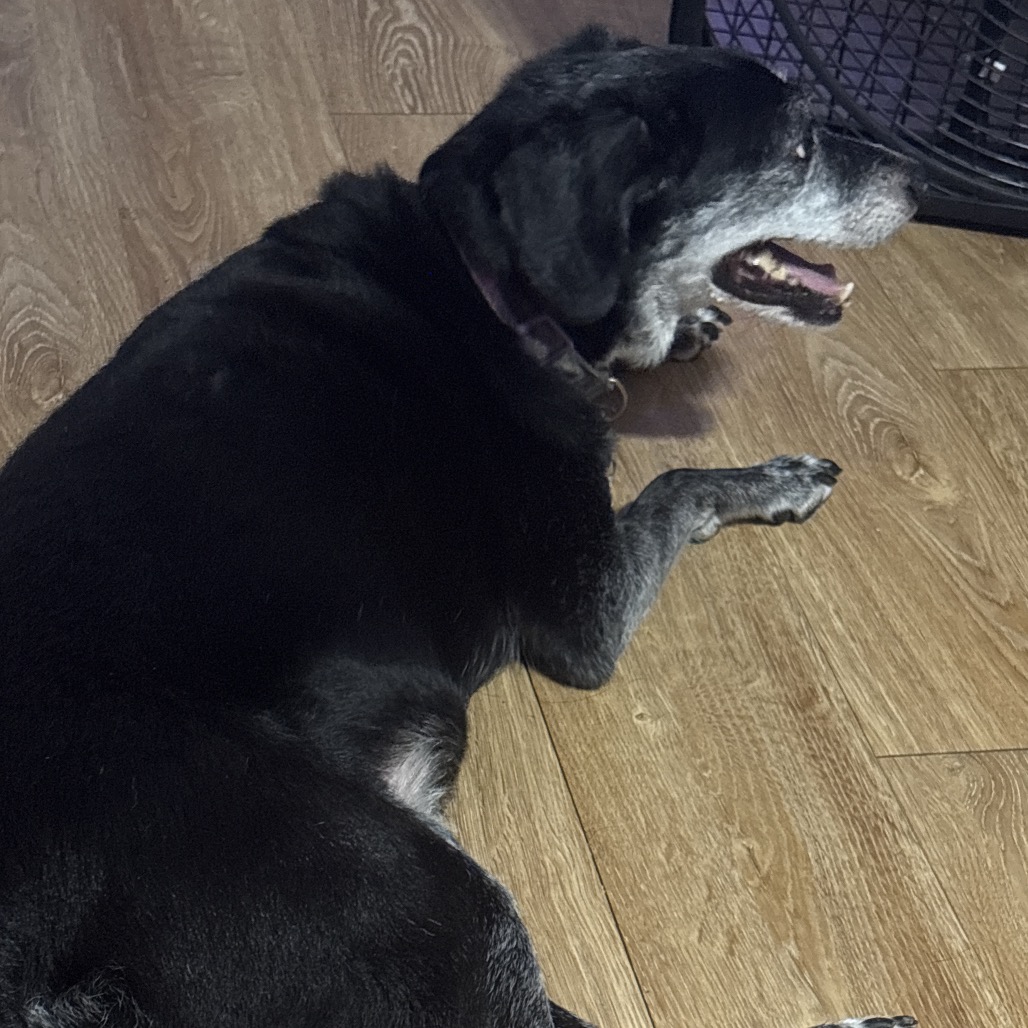 Max