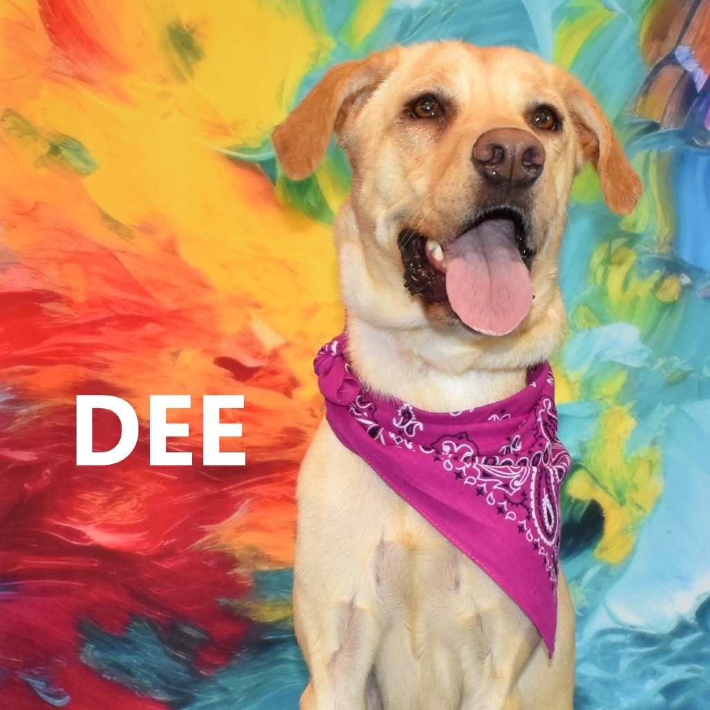 Dee