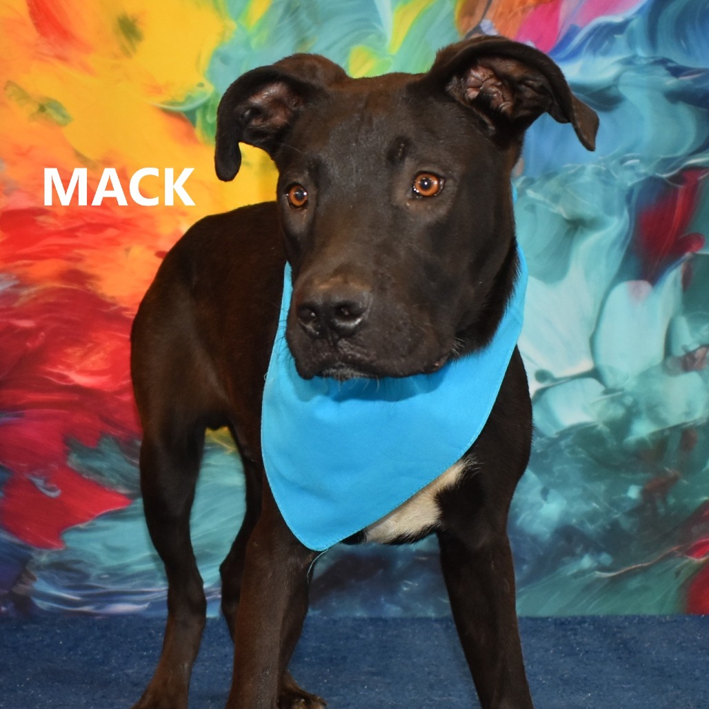 Mack
