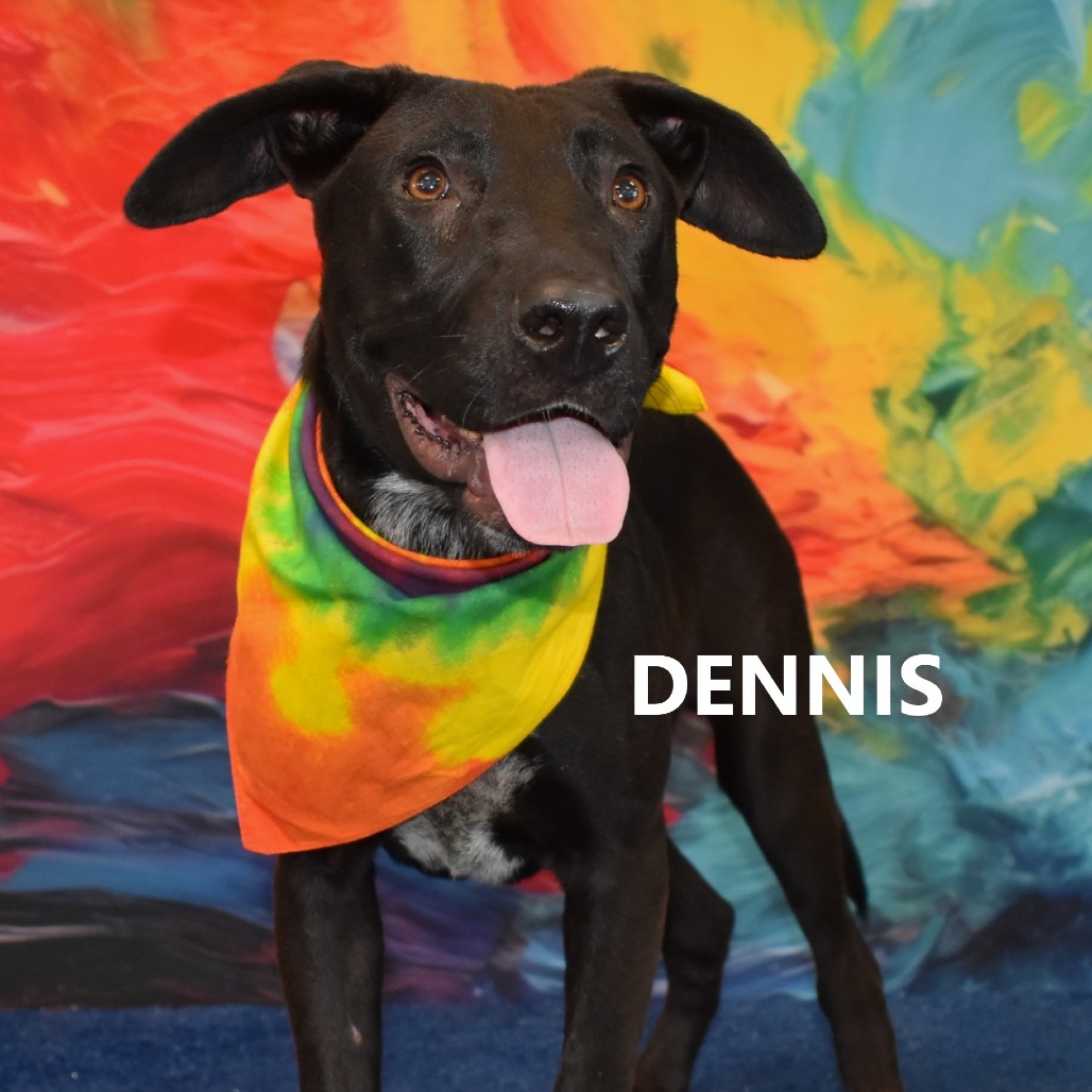 Dennis