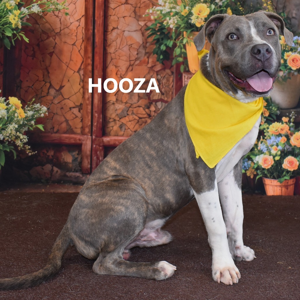 Hooza