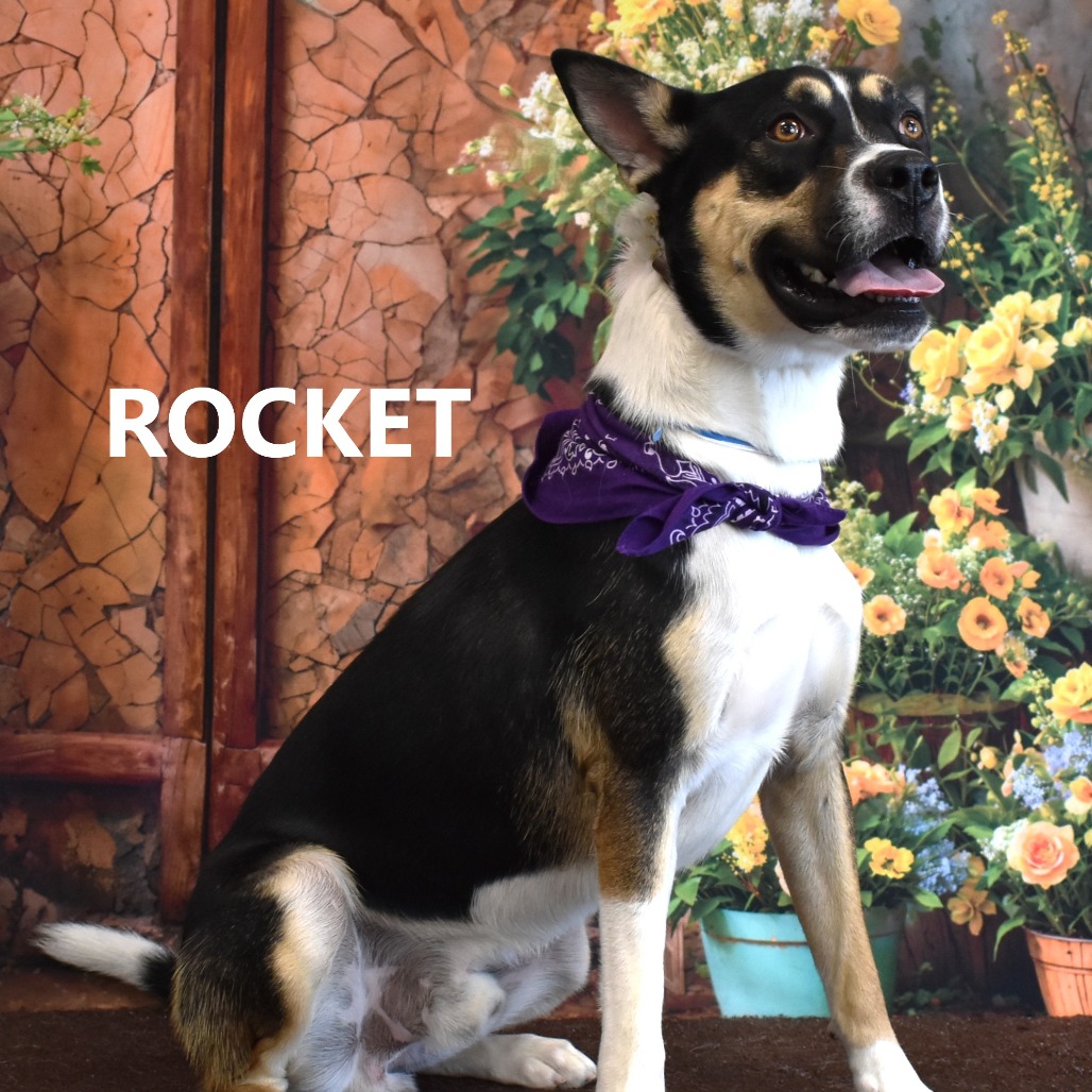 Rocket