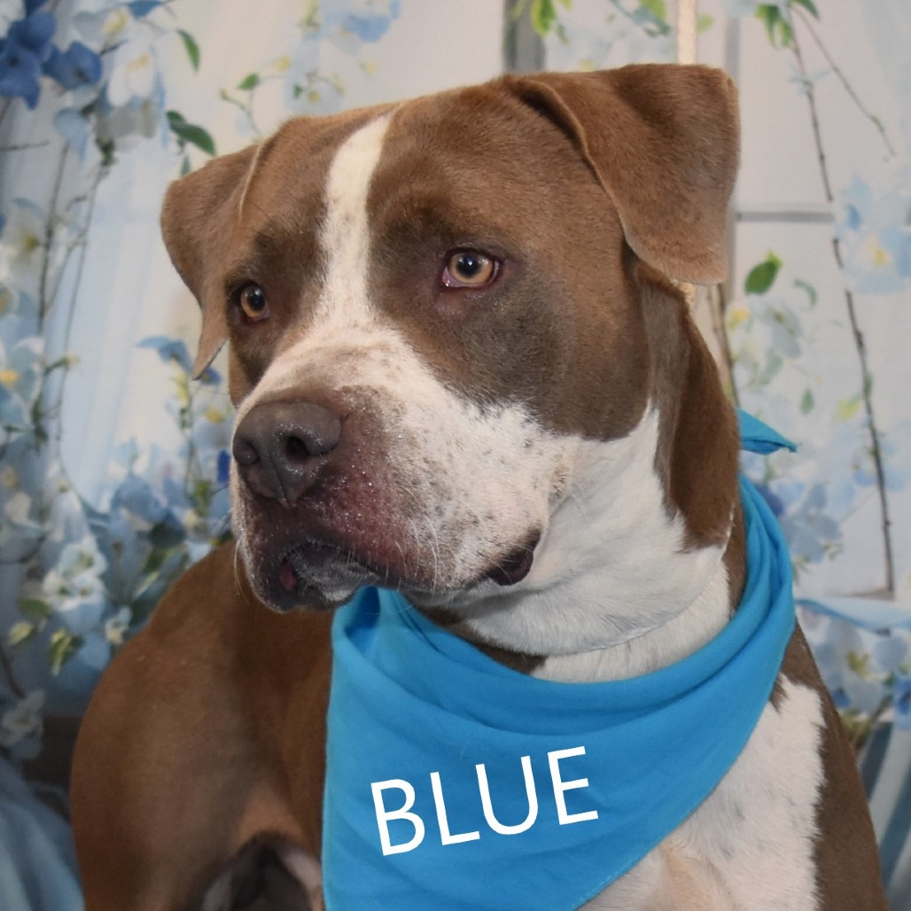 Blue