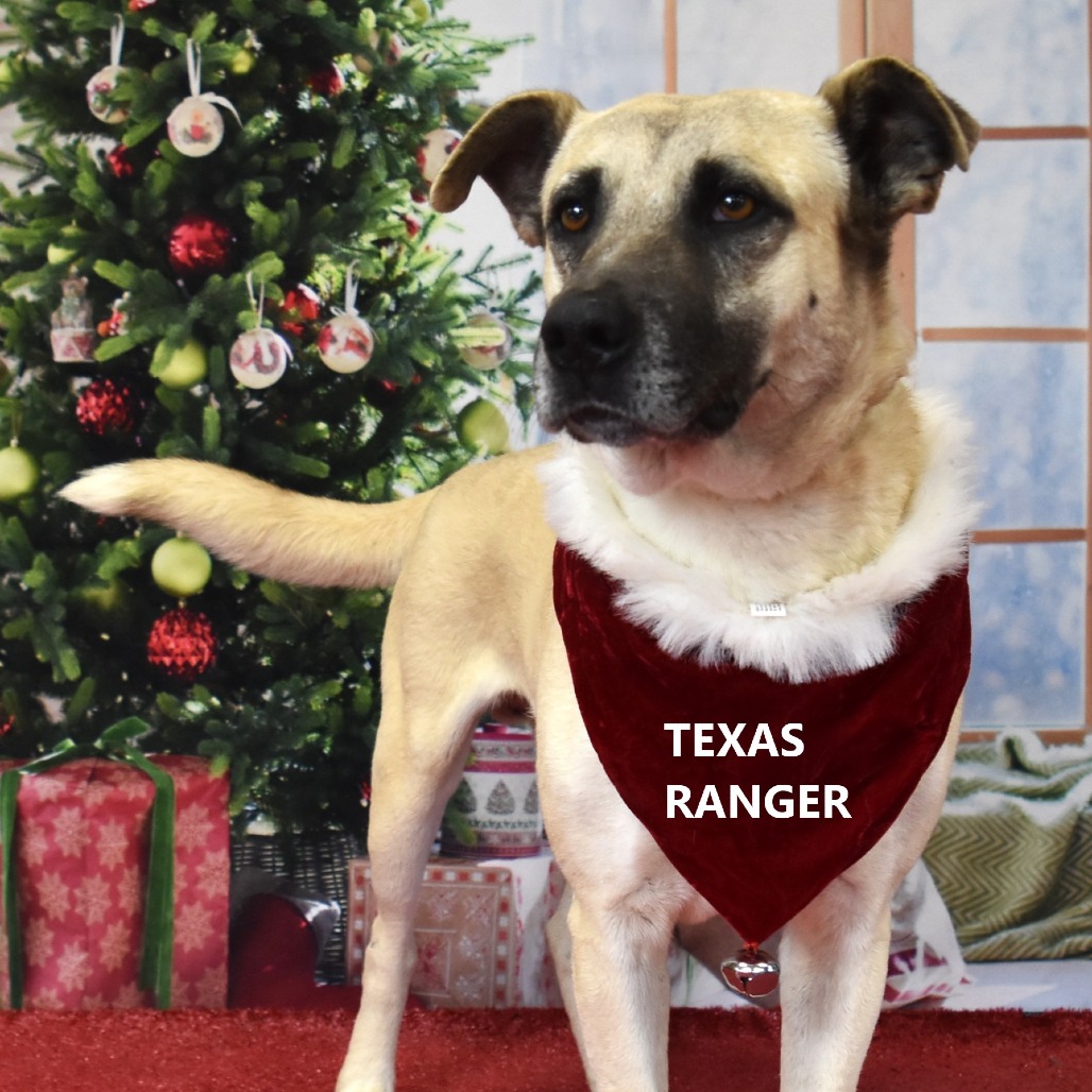 Texas Ranger