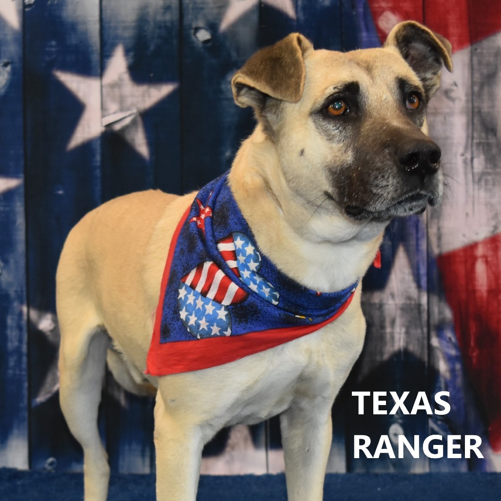 Texas Ranger