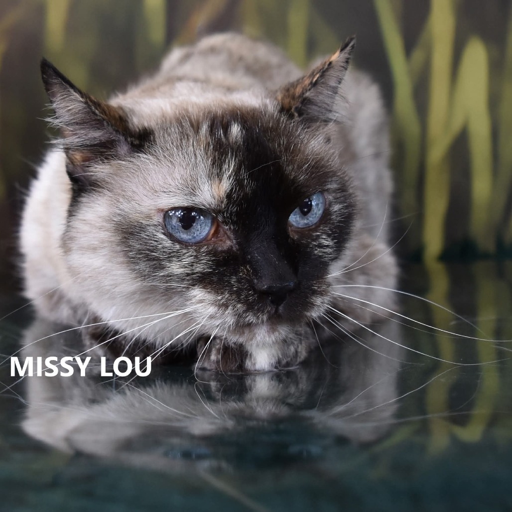 Missy Lou
