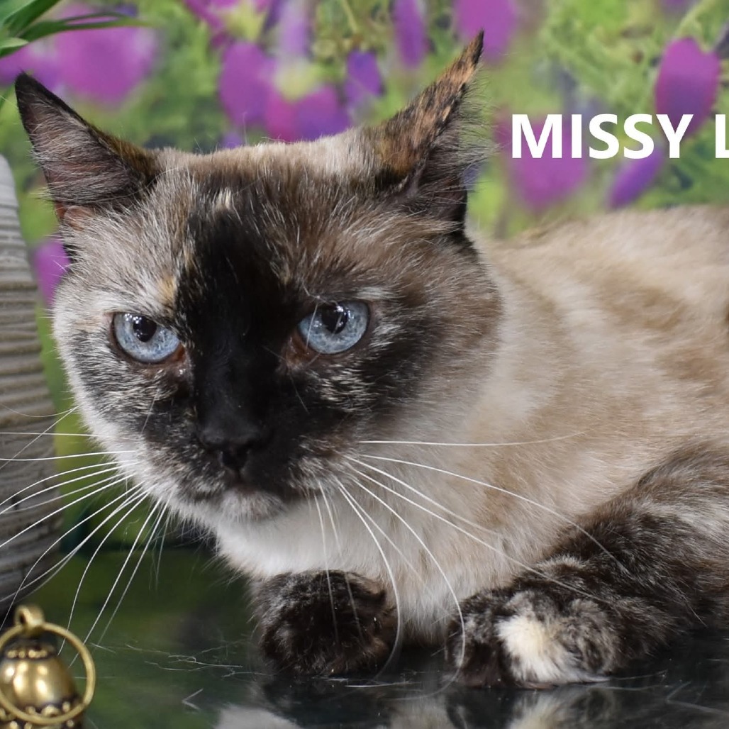 Missy Lou
