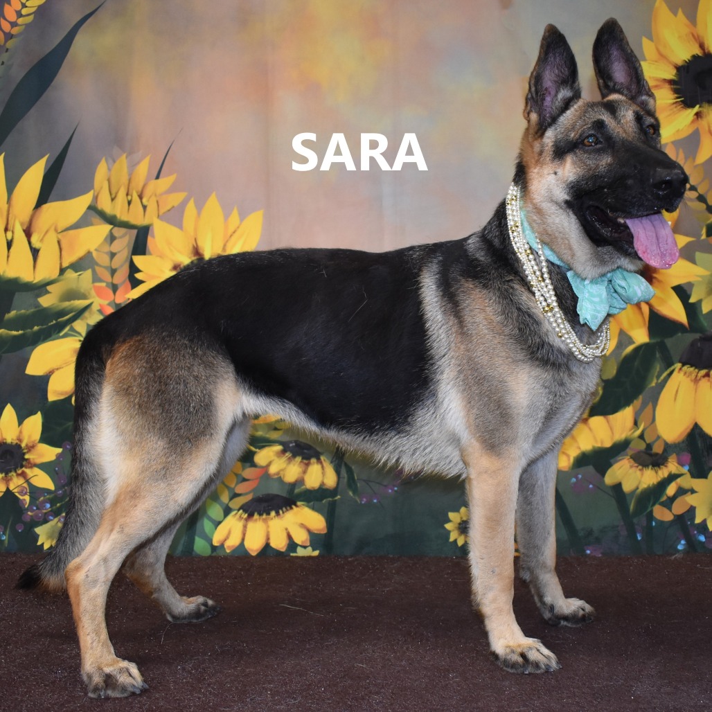 Sara