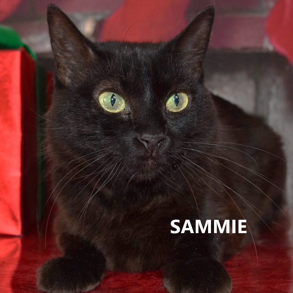Sammie