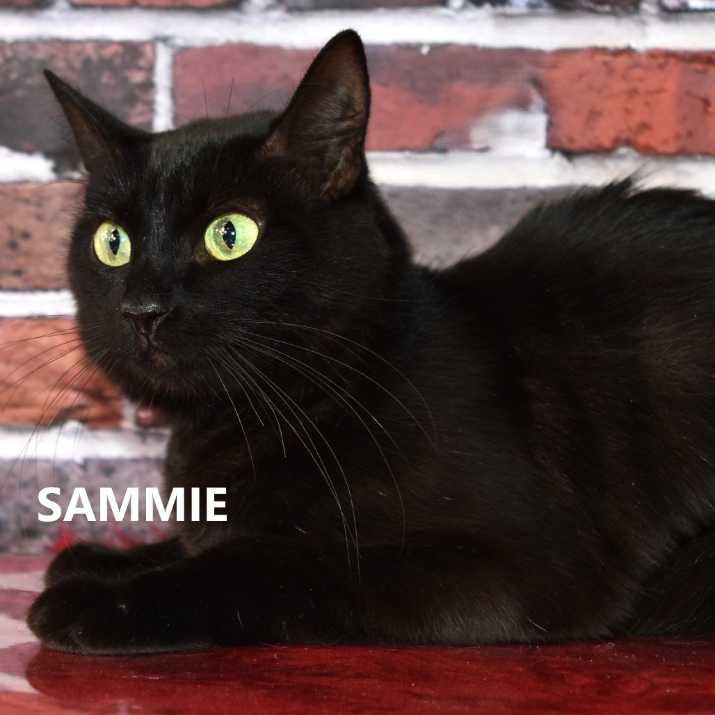Sammie