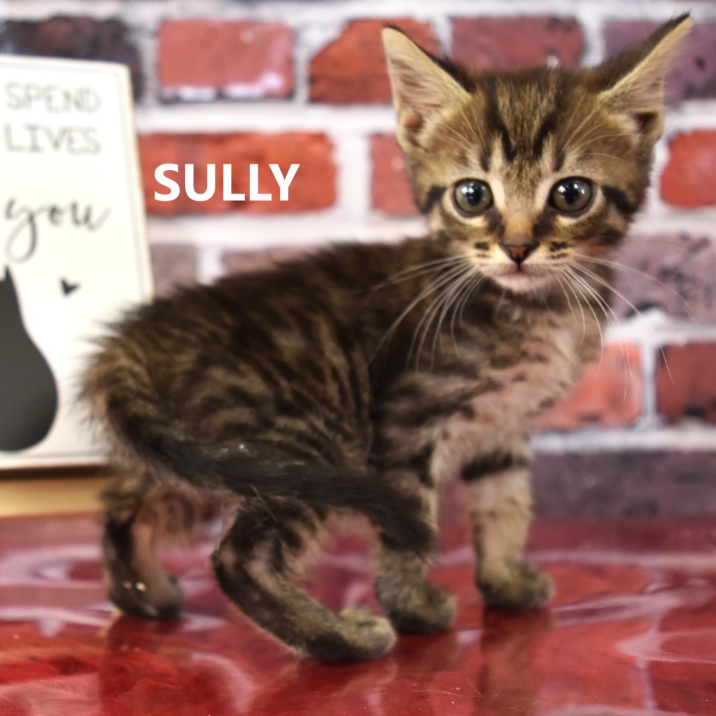 Sully