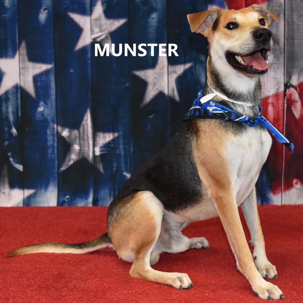 Munster