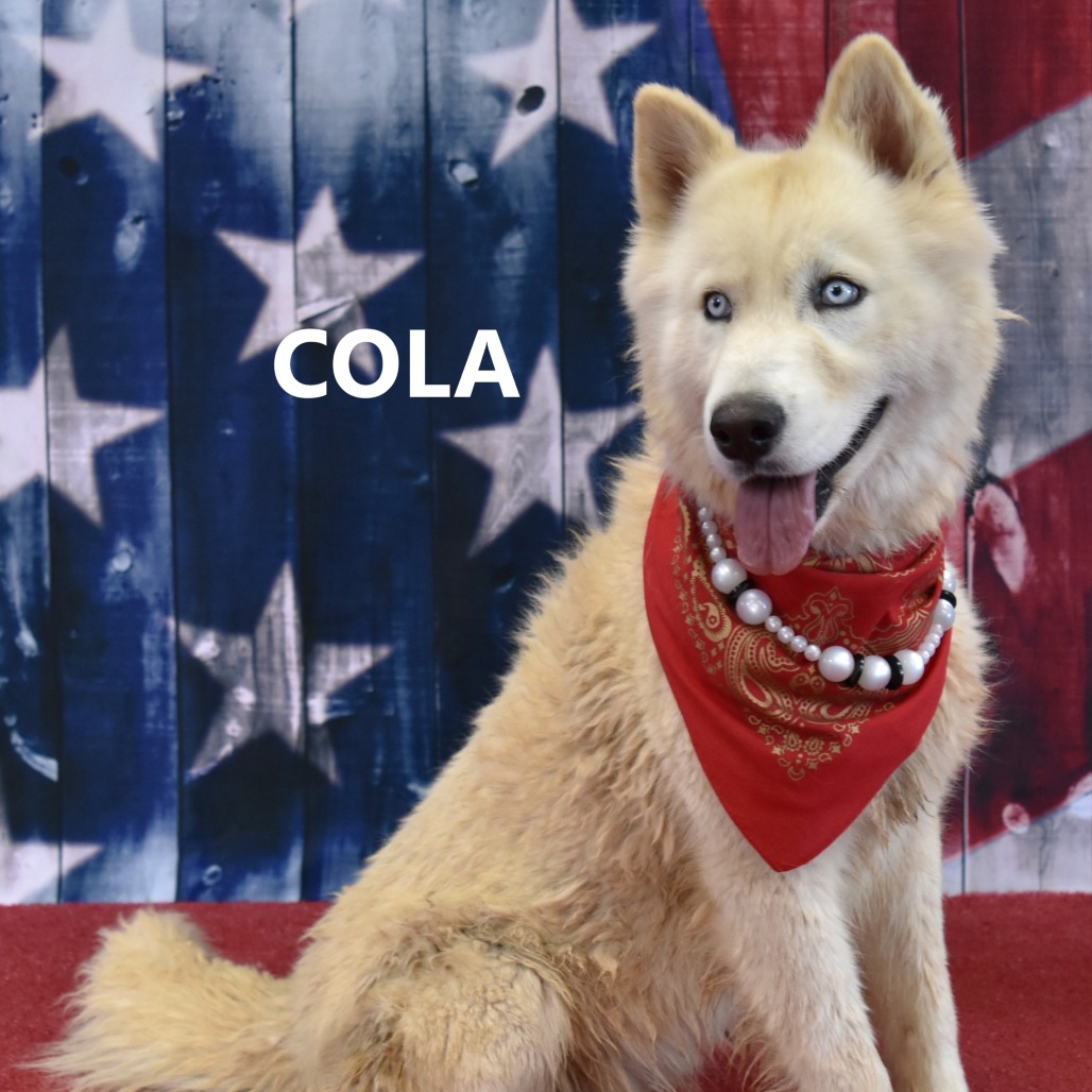 Cola