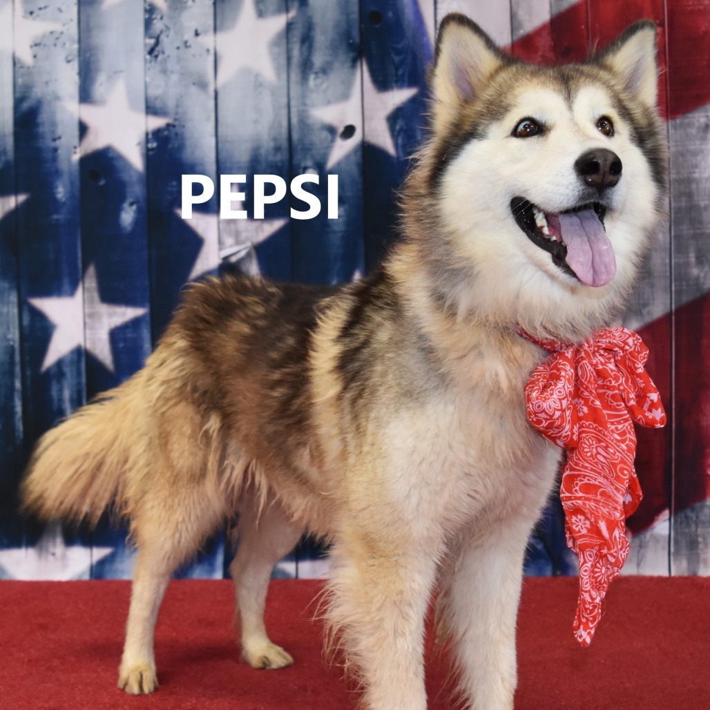 Pepsi