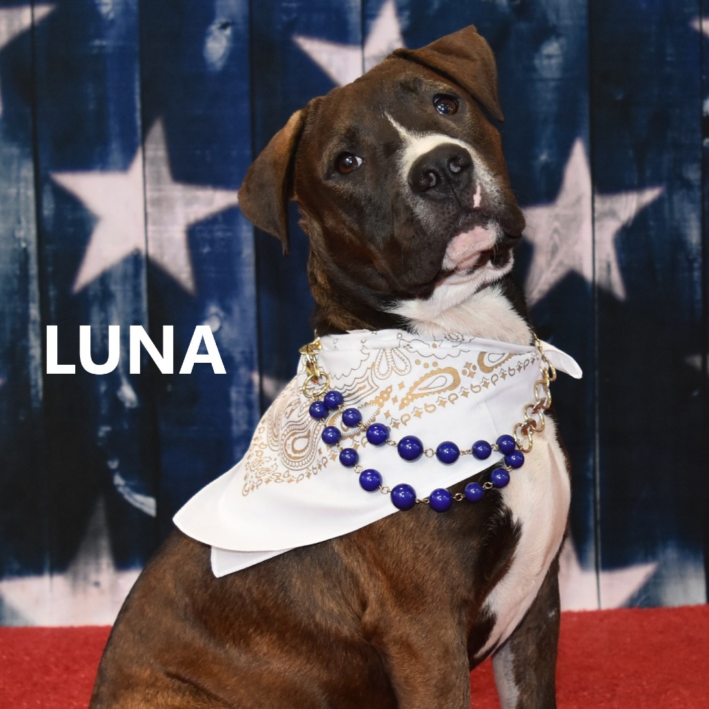 Luna