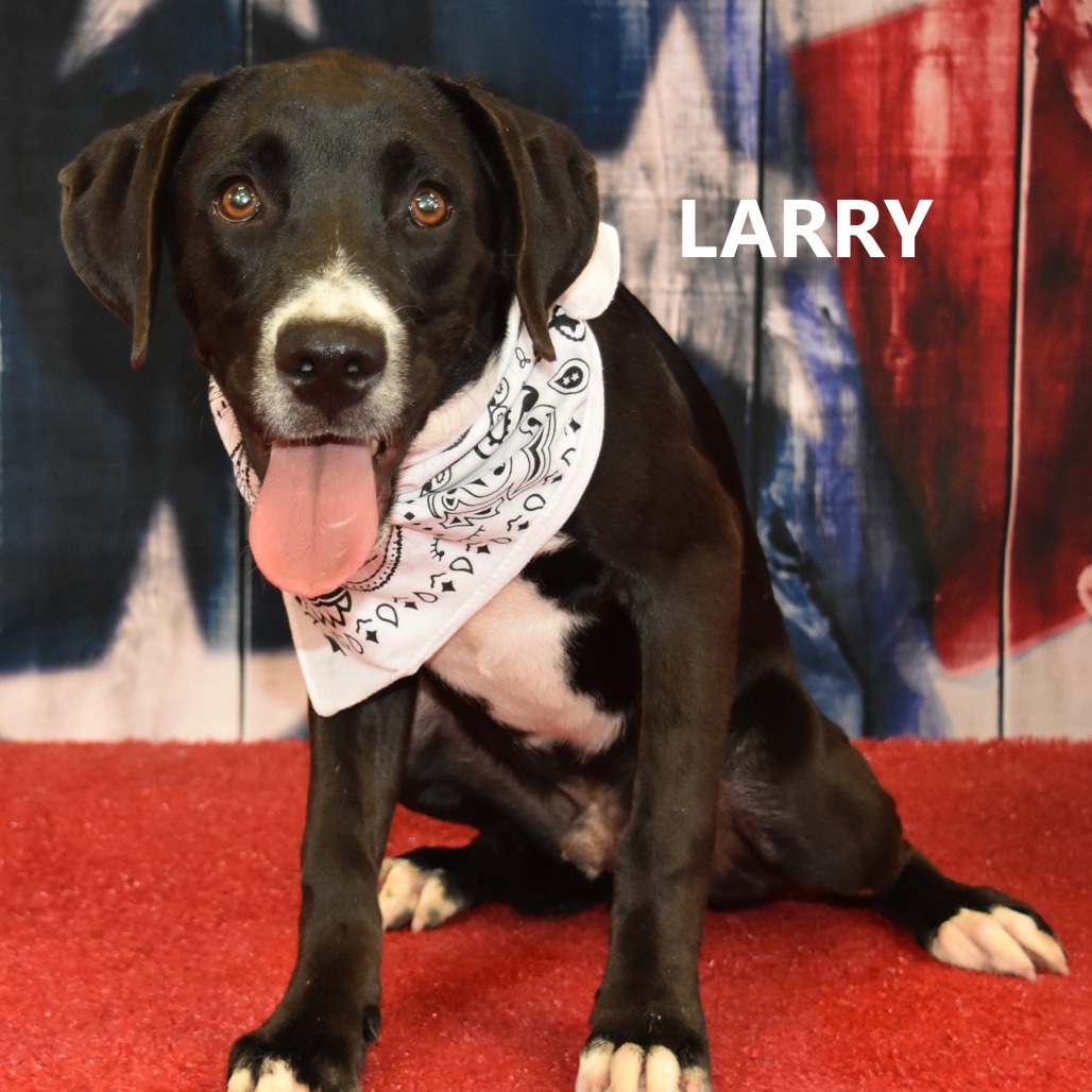 Larry