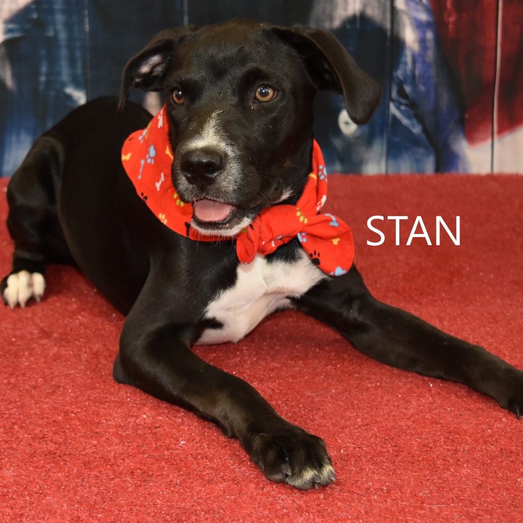 Stan