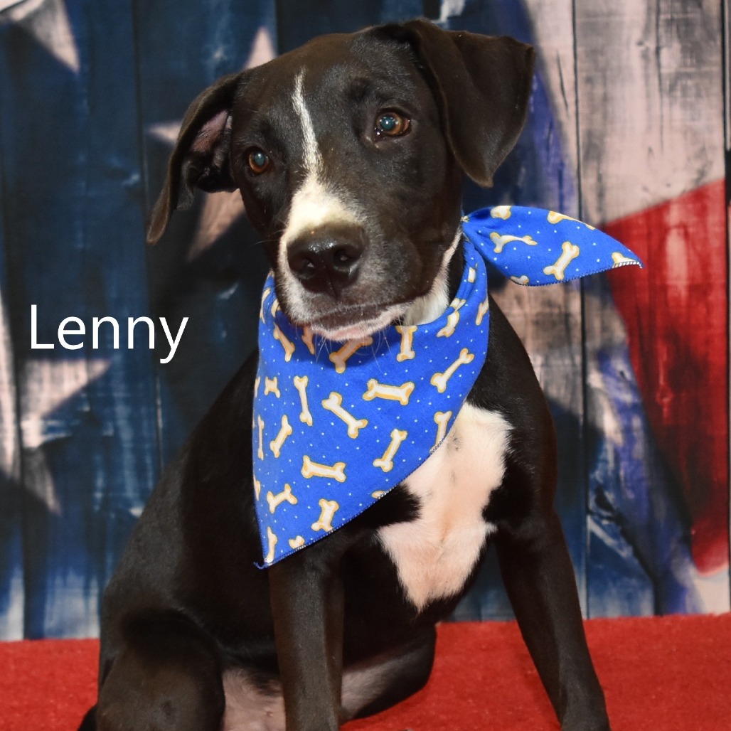 Lenny