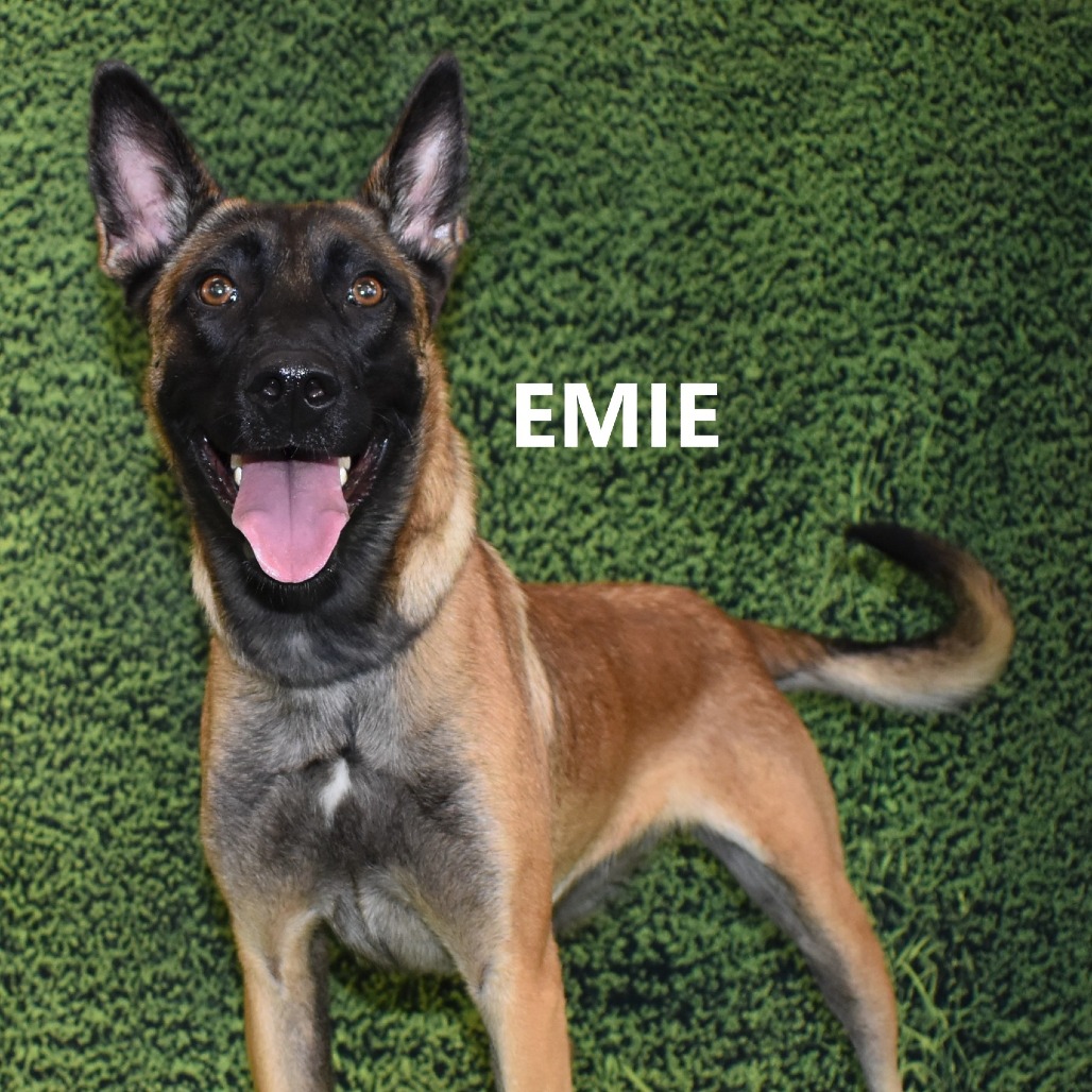 Emie