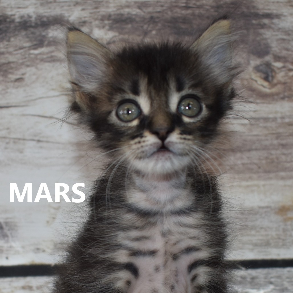 Mars