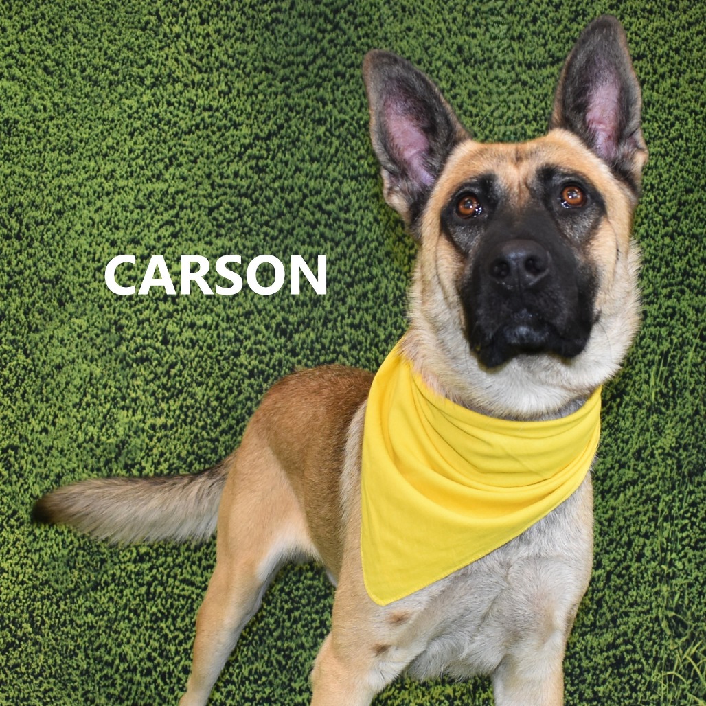 Carson