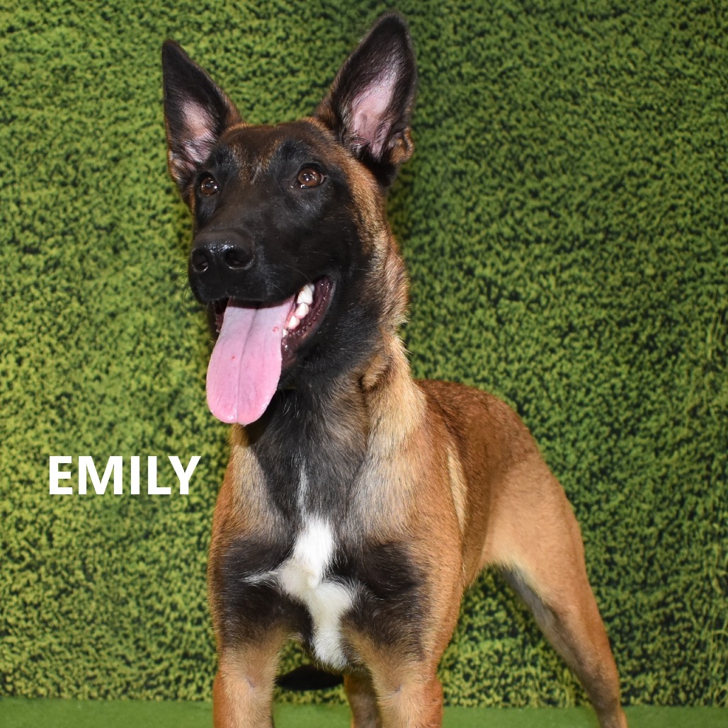 Emily