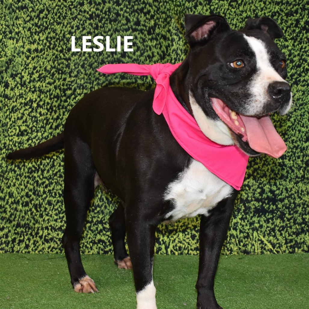 Leslie