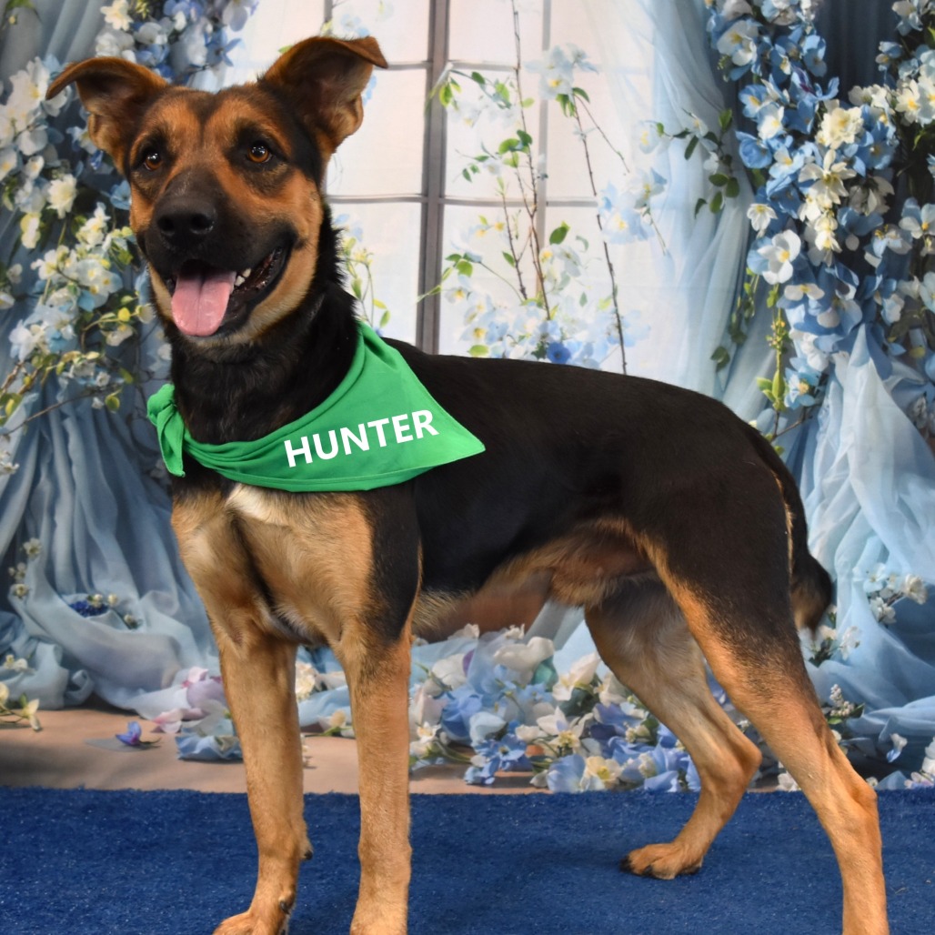 Hunter