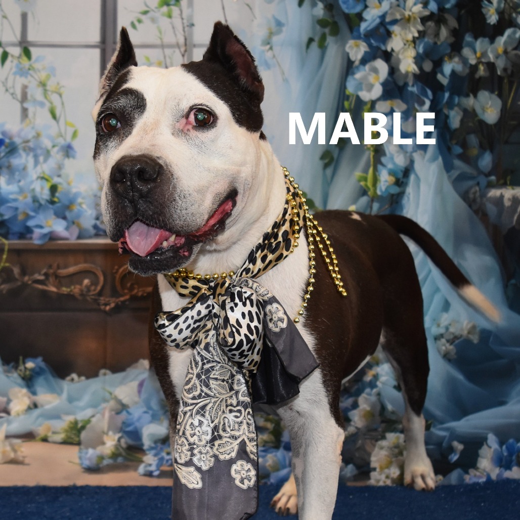Mable