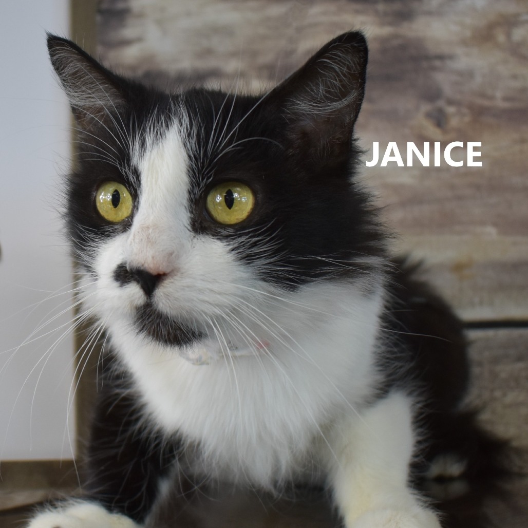 Janice