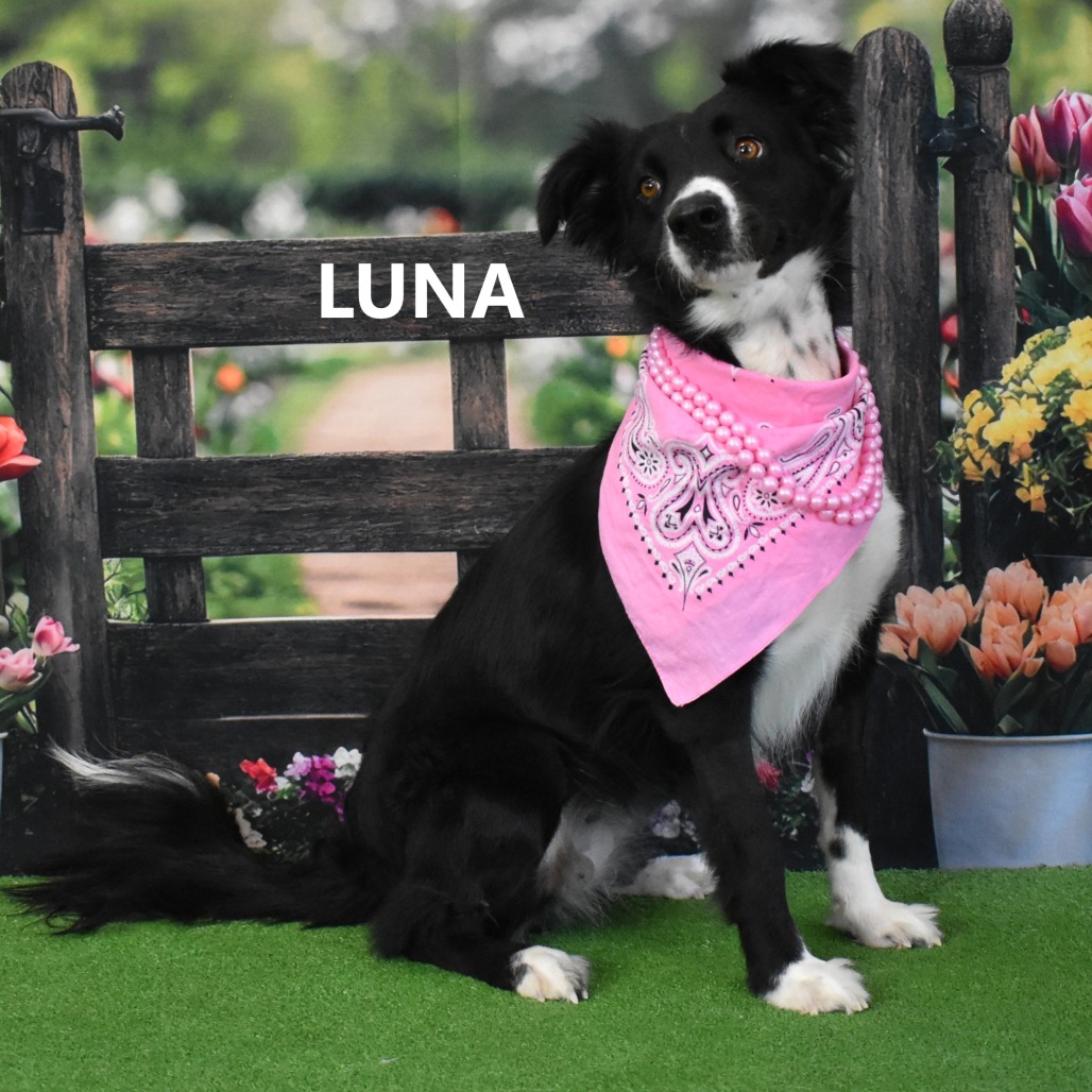 Luna