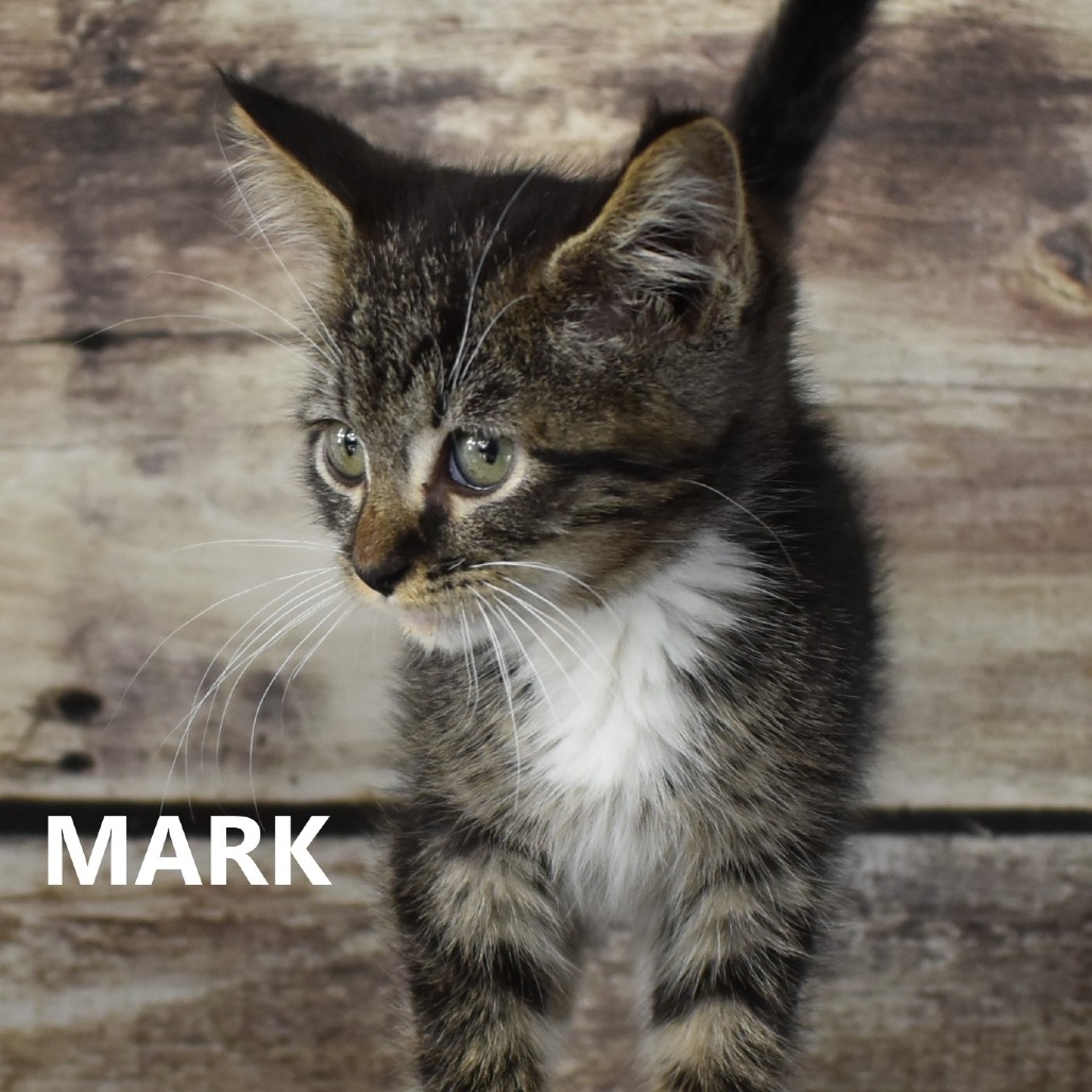 Mark