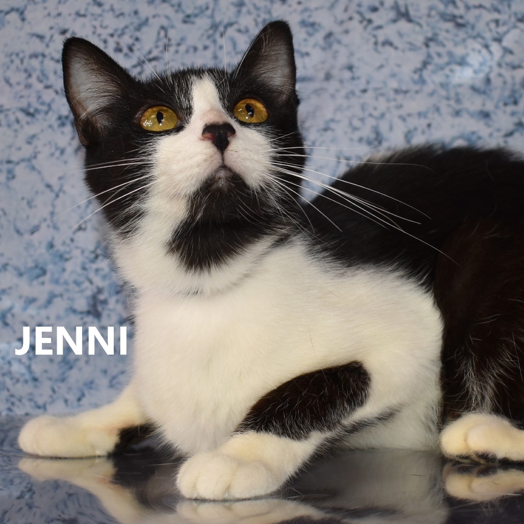 Jenni
