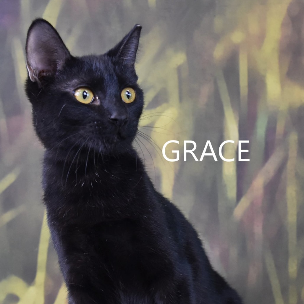 Grace