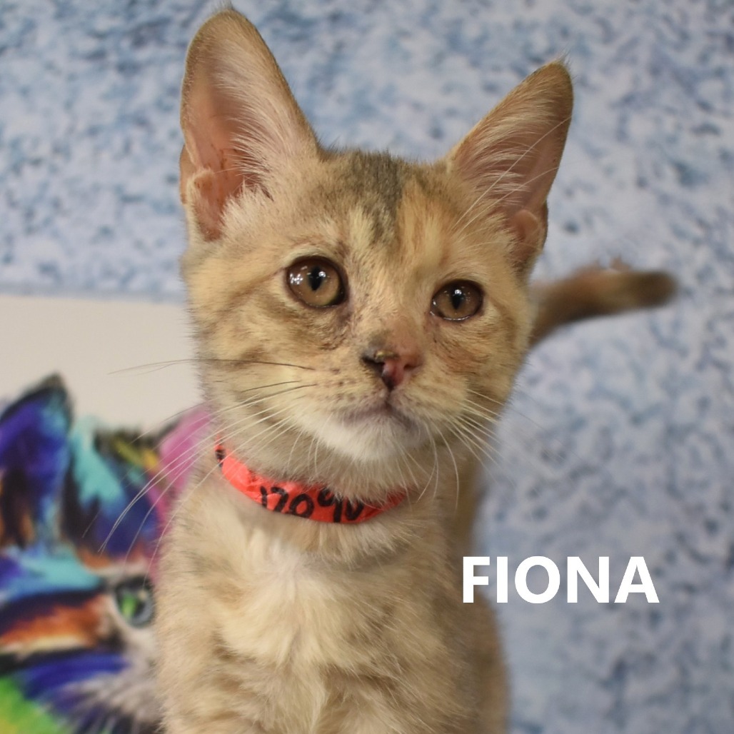 Fiona