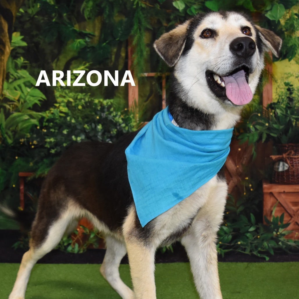 Arizona