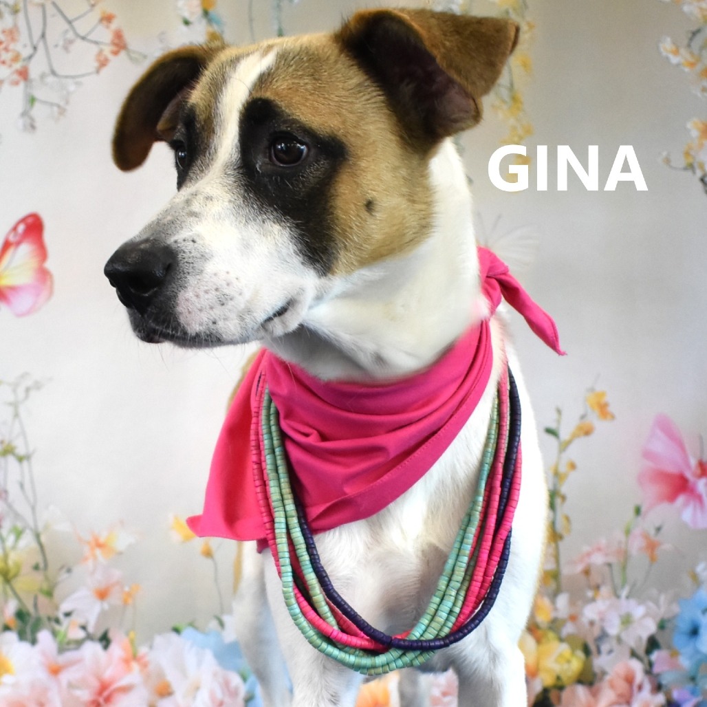 Gina