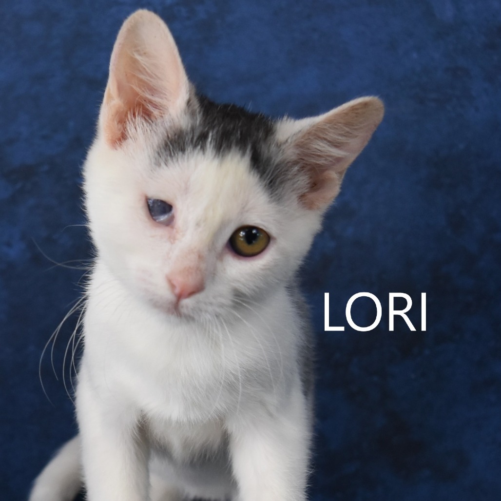 Lori