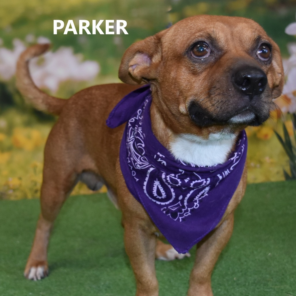 Parker
