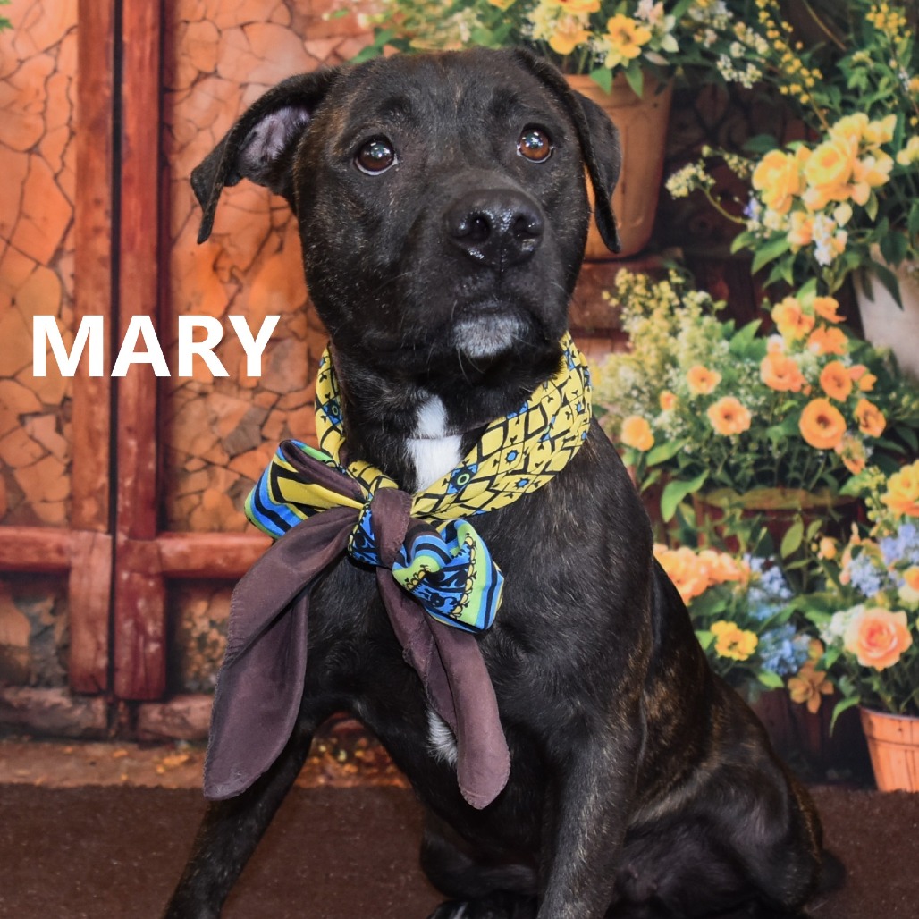 Mary