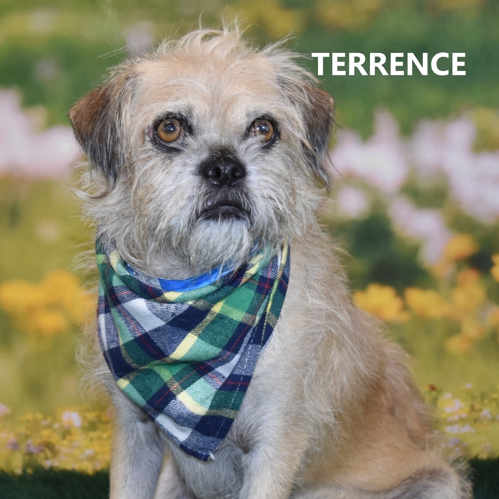 Terrence