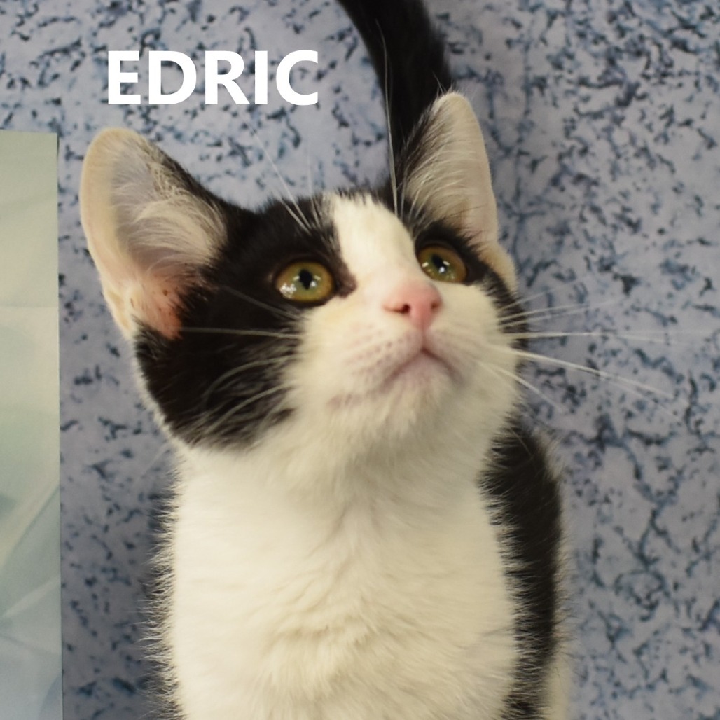 Edric