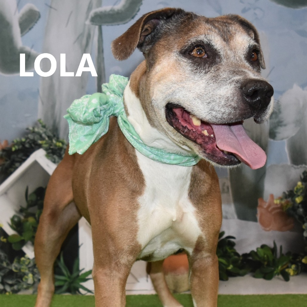 Lola