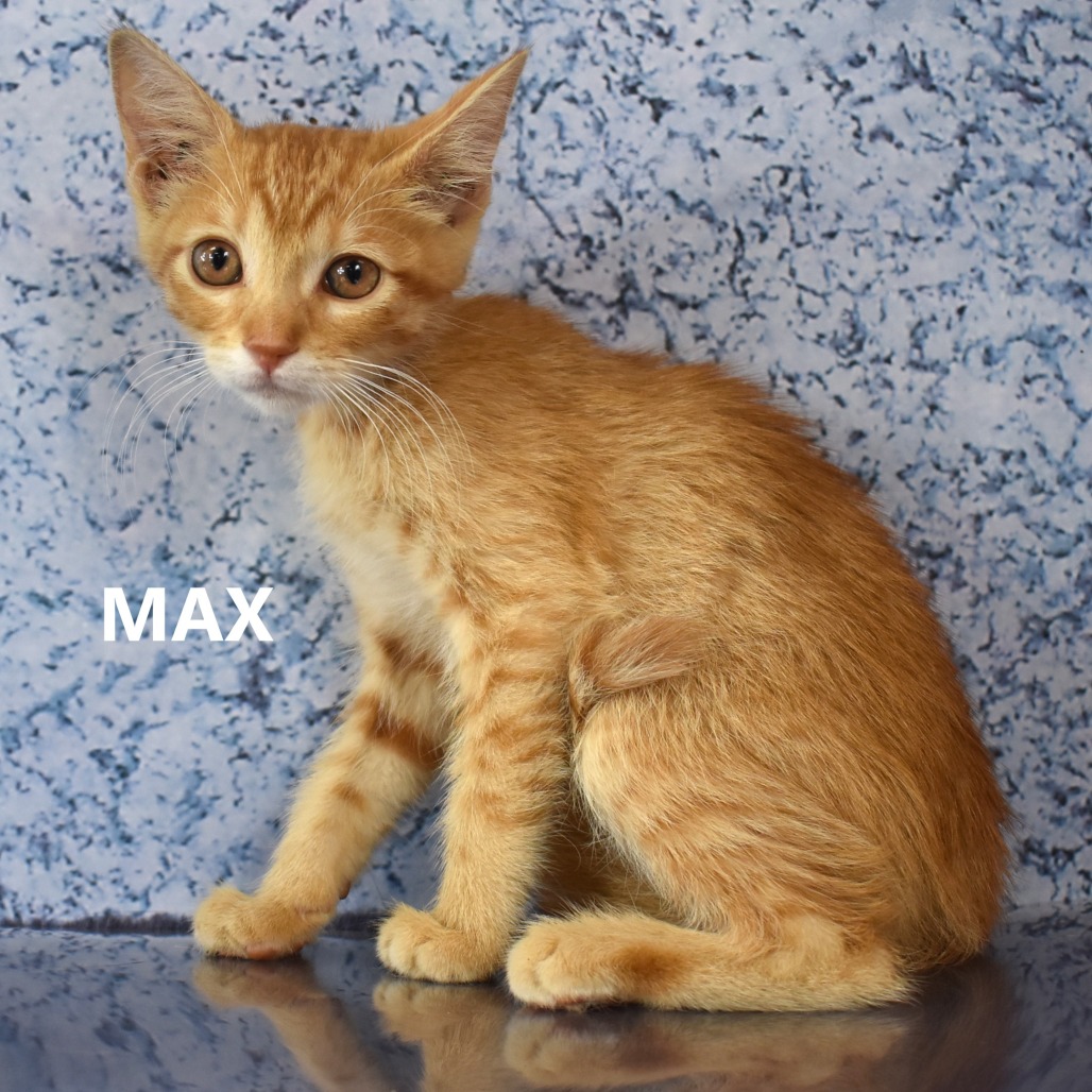 Max 