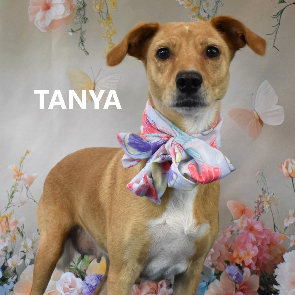 Tanya