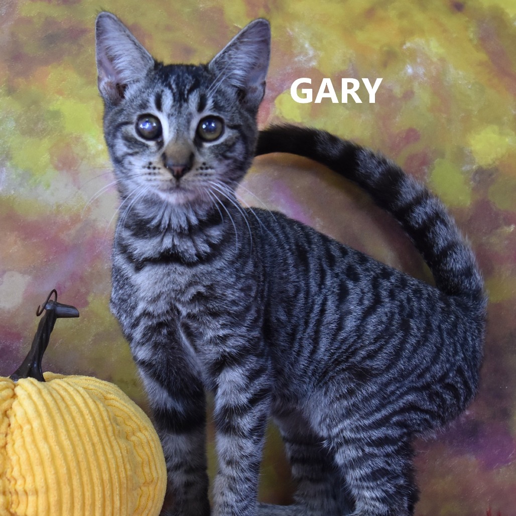 Gary