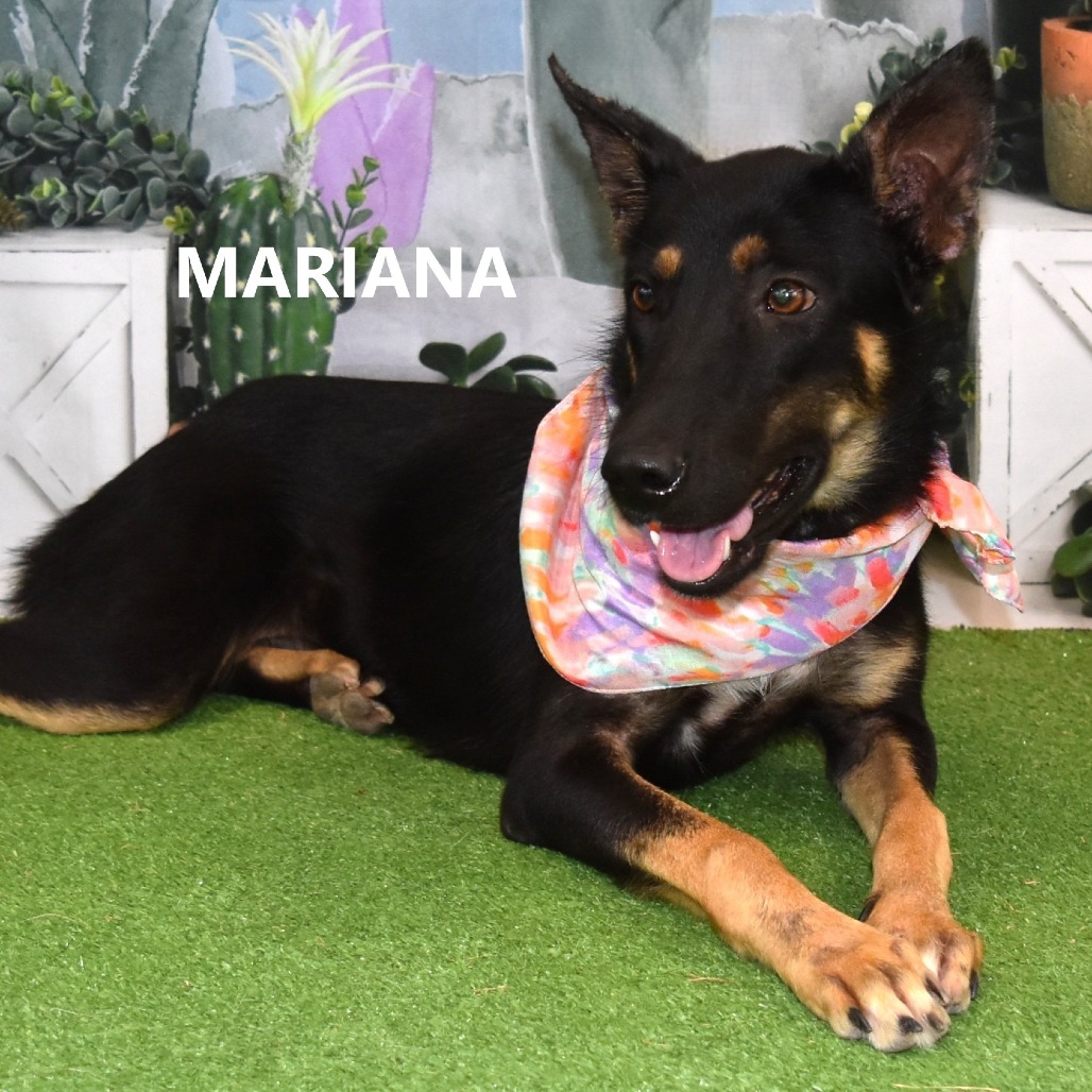 Mariana 