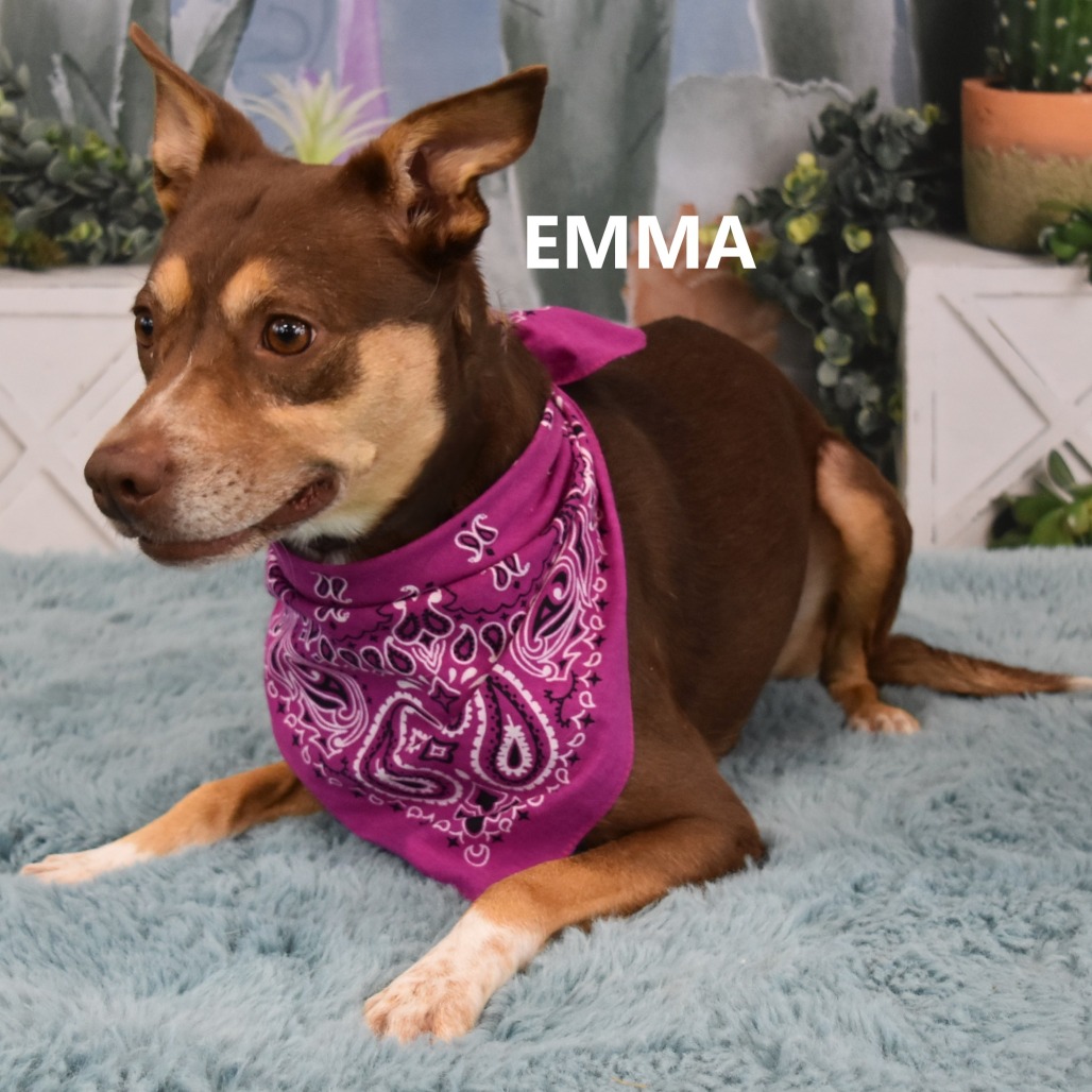 Emma 