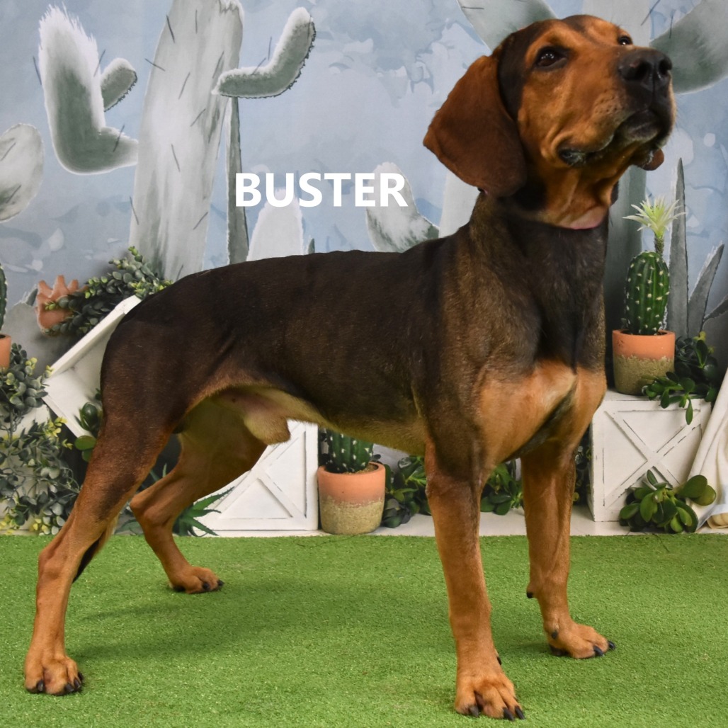 Buster